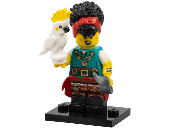 Pirate Quartermaster - Bricks and Minifigs Sioux Falls