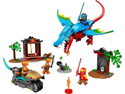 Ninja Dragon Temple - Bricks and Minifigs Sioux Falls