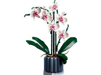 Botanical Orchid - Bricks and Minifigs Sioux Falls