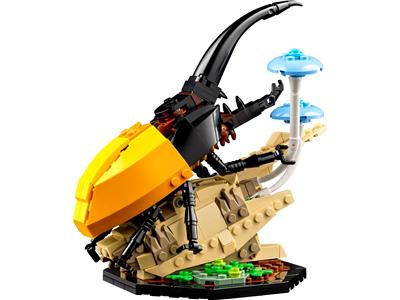 LEGO Ideas Insects - Bricks and Minifigs Sioux Falls