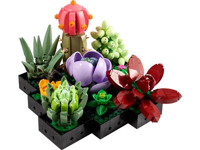 Succulents - Bricks and Minifigs Sioux Falls