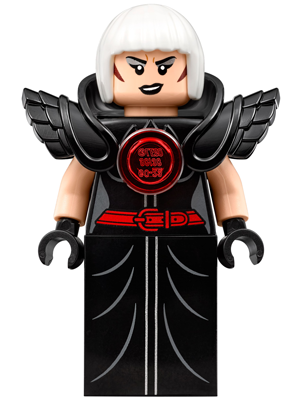 sh0333: Magpie - Bricks and Minifigs Sioux Falls