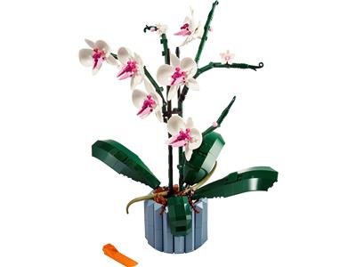 Botanical Orchid - Bricks and Minifigs Sioux Falls