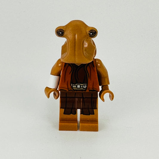 sw0570: Ithorian Jedi Master